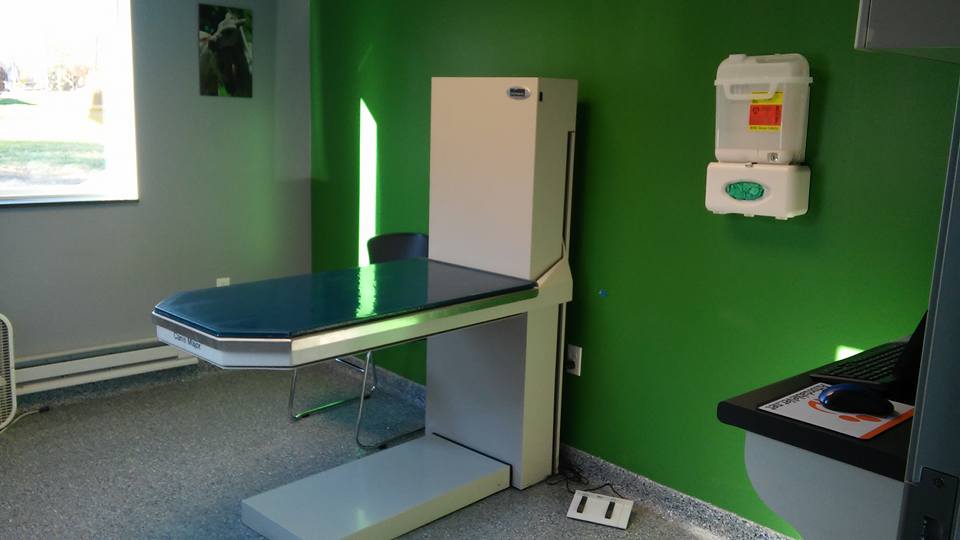 Our Clinic Interior - an exam room at A Step Up Veterinary