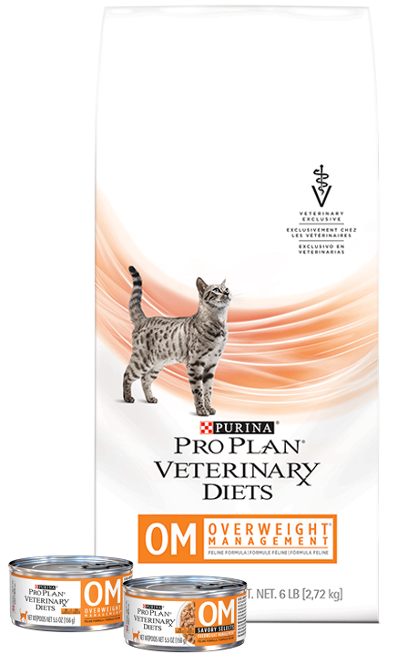 Purina Veterinary Diets Dm For Cats